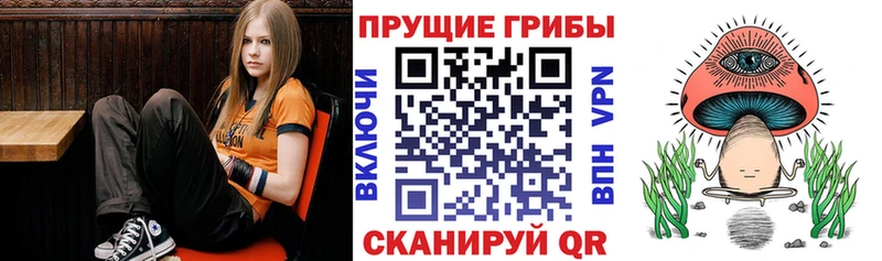 Псилоцибиновые грибы Cubensis  MEGA tor  Воркута 